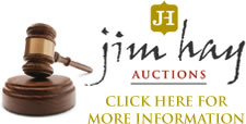 Property Auctions offering Commercial Property, Residential Property and land for development.